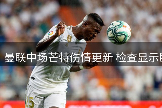 曼联中场芒特伤情更新 检查显示腘绳肌轻微撕裂